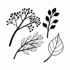 Eco Branches and Leaves Outline Icon Bundle