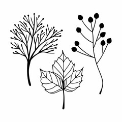Eco Branches and Leaves Outline Icon Bundle