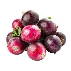 Obraz premium Radish