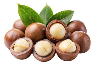 Macadamia nuts isolated on white background