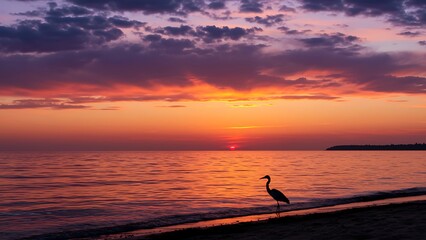 Fototapeta premium Tranquil seaside sunset with bird silhouette and waves