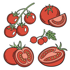Vector art of a collection of ripe red tomatoes, including whole fruits, sliced halves, and a vine of cherry tomatoes, isolated on white background
