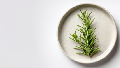 Fresh rosemary sprig on a light gray plate, top-down view against a plain white background