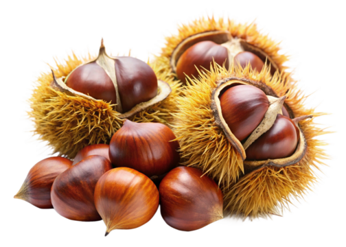 Chestnuts isolated on white background