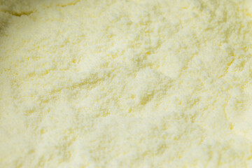 Organic Dry Powdered Baby Formula