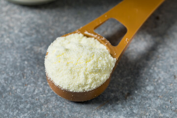 Organic Dry Powdered Baby Formula