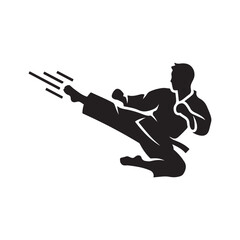 Dynamic Silhouette of a Martial Artist Performing a Powerful Flying Kick
