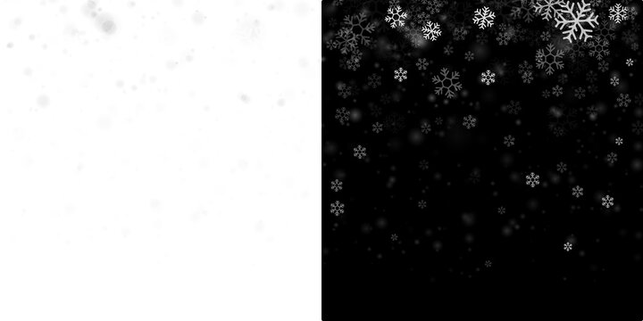 Night snowfall PNG abstract texture. White snowflakes falling on black, isolated effect for overlays, holiday backdrop, and photo editing. Realistic winter design in PNG format.