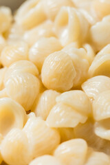 Homemade White Cheddar Macaroni and Cheese