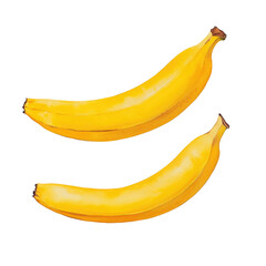 Two ripe yellow bananas isolated on transparent background