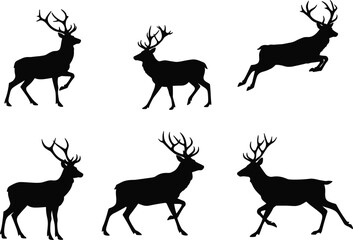 Silhouette of majestic deer with antlers in various poses, wildlife nature, forest animals, running and walking stag vector illustration.