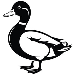 duck