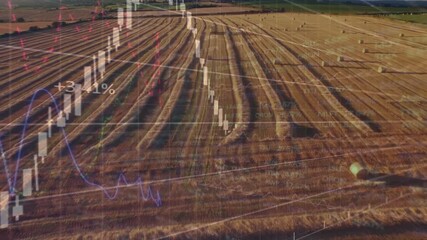 Animation of financial data processing over grid - Powered by Adobe