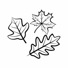 Clean Line Art Maple and Oak Leaf Icons
