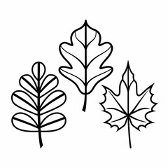 Clean Line Art Maple and Oak Leaf Icons