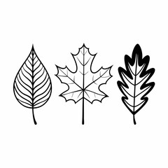 Clean Line Art Maple and Oak Leaf Icons