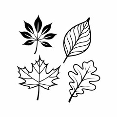 Clean Line Art Maple and Oak Leaf Icons