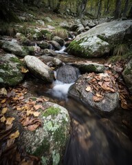 Serene mountain stream flowing over mossy rocks in autumn long exposure nature photography in Gredos Spain