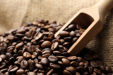Aromatic coffee beans and scoop in burlap bag, closeup