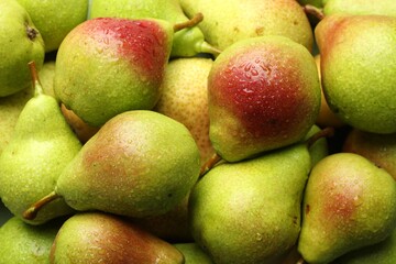 Many whole ripe pears with water drops as background, closeup