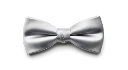 Elegant Silver Satin Bow Tie Isolated on White Background