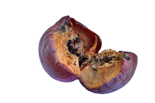 Rotten broken apple lies on PNG background.