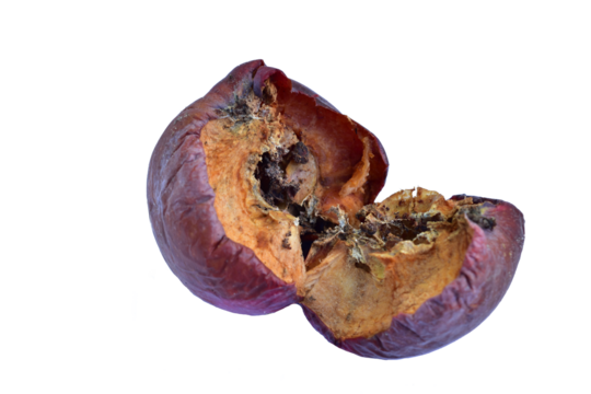 Rotten broken apple lies on PNG background.