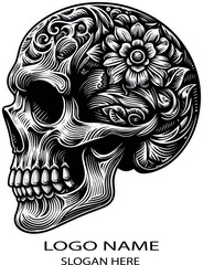 Vector illustration of a human skull .