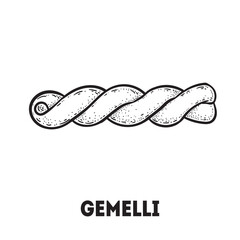 Pasta gemelli sketch. Italian food. Hand drawn vector illustration. Gemelli pasta Engraved style. Detailed black and white illustration.
