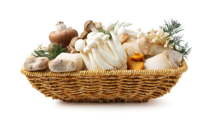 Different raw mushrooms and dill in wicker basket isolated on white