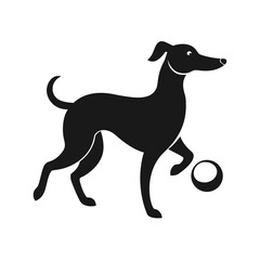Elegant greyhound dog playing with a ball silhouette