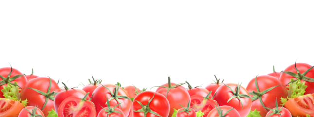 Tomatoes on a white background isolated