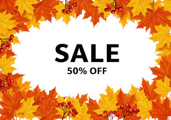 Autumn sale with 50 percent off promotion framed by colorful fall leaves and red berries isolated on transparent background