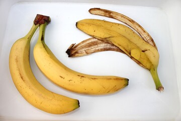 different bananas. two whole yellow bananas next to an empty peel 