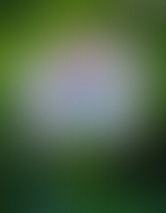 Subtle Gradient of Lush Greens, Transitioning from Light Hues to Deep, Enigmatic Shades with a Soft, Dreamy Quality and Atmospheric Blurred Texture Throughout