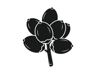 A cluster of black berries on a branch