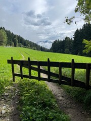 wooden fence in the field