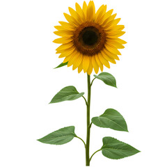 Obraz premium Wealth, Prosperity, and Financial Success: A Visual Representation