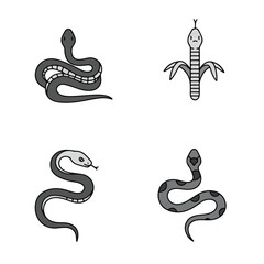 Naklejka premium Four snake illustrations