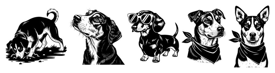 Playful Beagle Vector Pose Collection – Sitting, Sniffing, Digging, Cool Sunglasses Puppy Silhouettes in Black & White