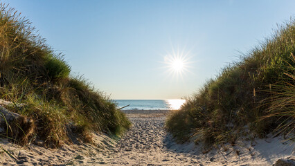 Der Ostseestrand auf der Insel Hiddensee im Sommer bei wunderschönem Sonnenschein