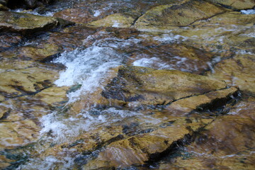 Montana Nature and Trails