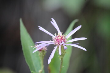 Montana Nature and Trails