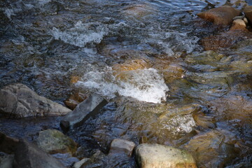Montana Nature and Trails
