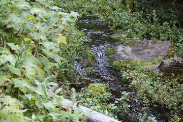 Fototapeta premium Montana Nature and Trails