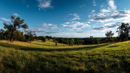 A panoramic view of a lush green pasture under the warm afternoon sun, with vibrant grass stretching toward the horizon, bathed in golden light and framed by distant trees.