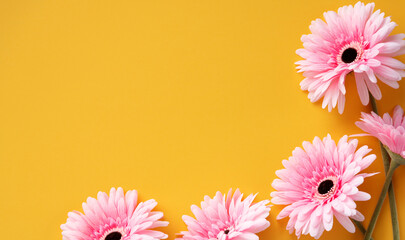 Pink  flowers on a yellow  paper background, top view