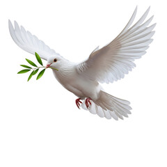 White dove flying with an olive branch, embodying peace, hope, and new beginnings. Perfect for Easter, Christmas, wedding invitations, funeral programs, sympathy cards,
