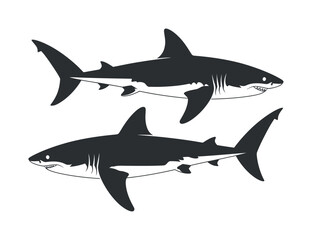 Two Silhouette Sharks with Detailed Features Swimming on a Transparent Background for Marine Life Illustrations