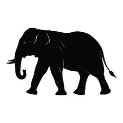 Obraz premium Majestic silhouette of a walking african elephant in profile against white silhouette